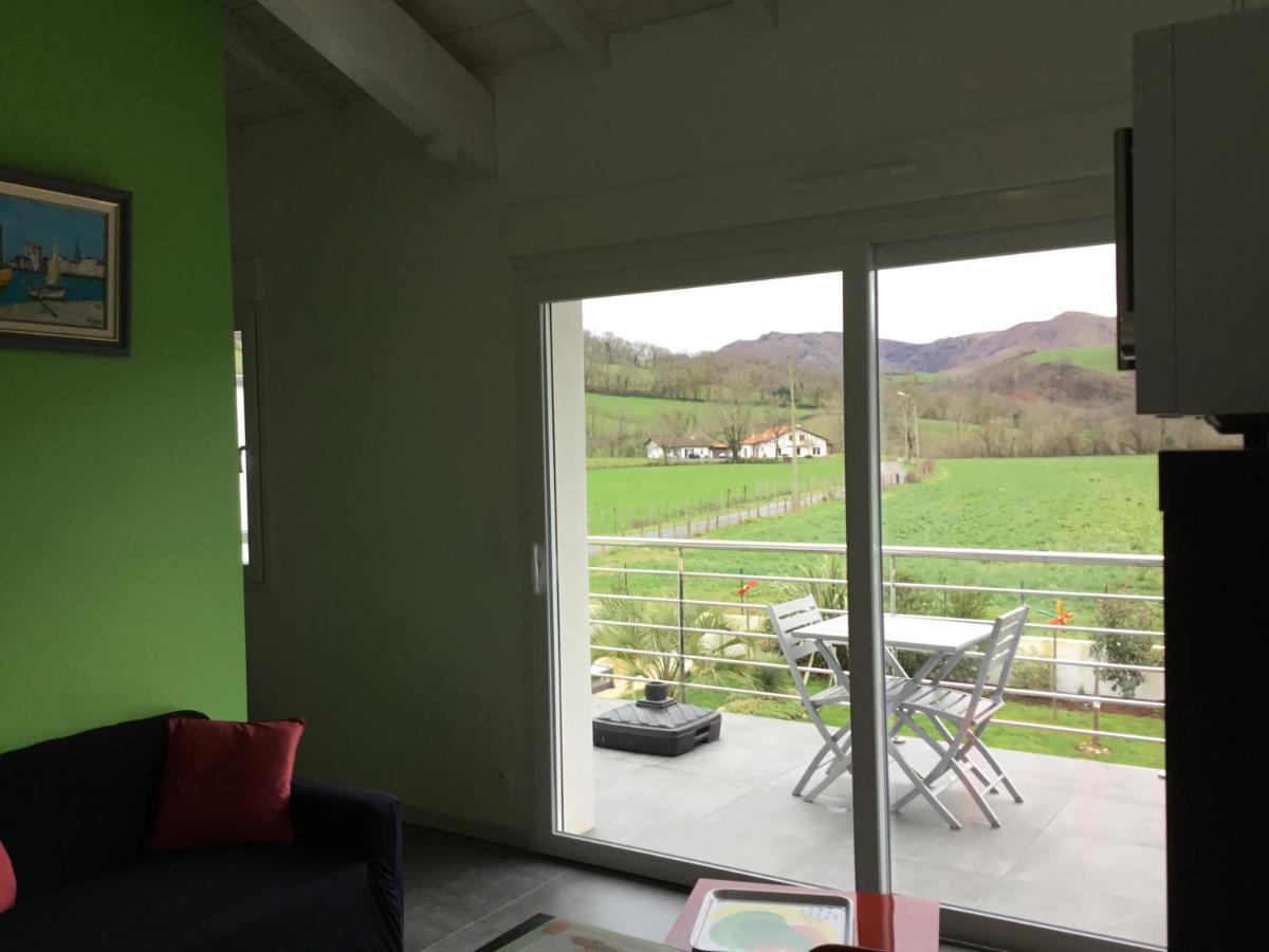 Gites Vue Montagne St Jean Pied De Port Pays Basque Saint-Jean-Pied-de-Port Esterno foto