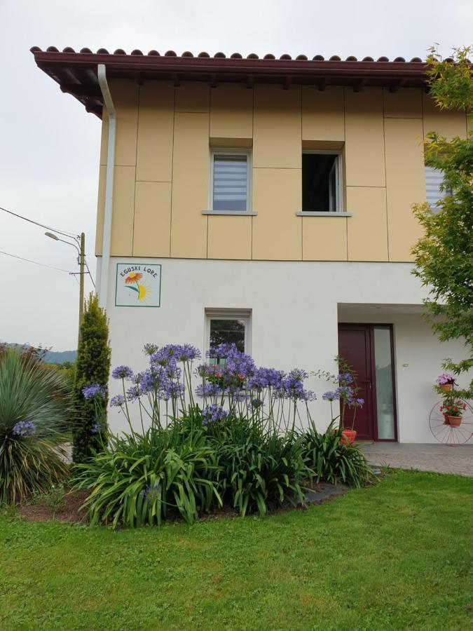 Gites Vue Montagne St Jean Pied De Port Pays Basque Saint-Jean-Pied-de-Port Esterno foto