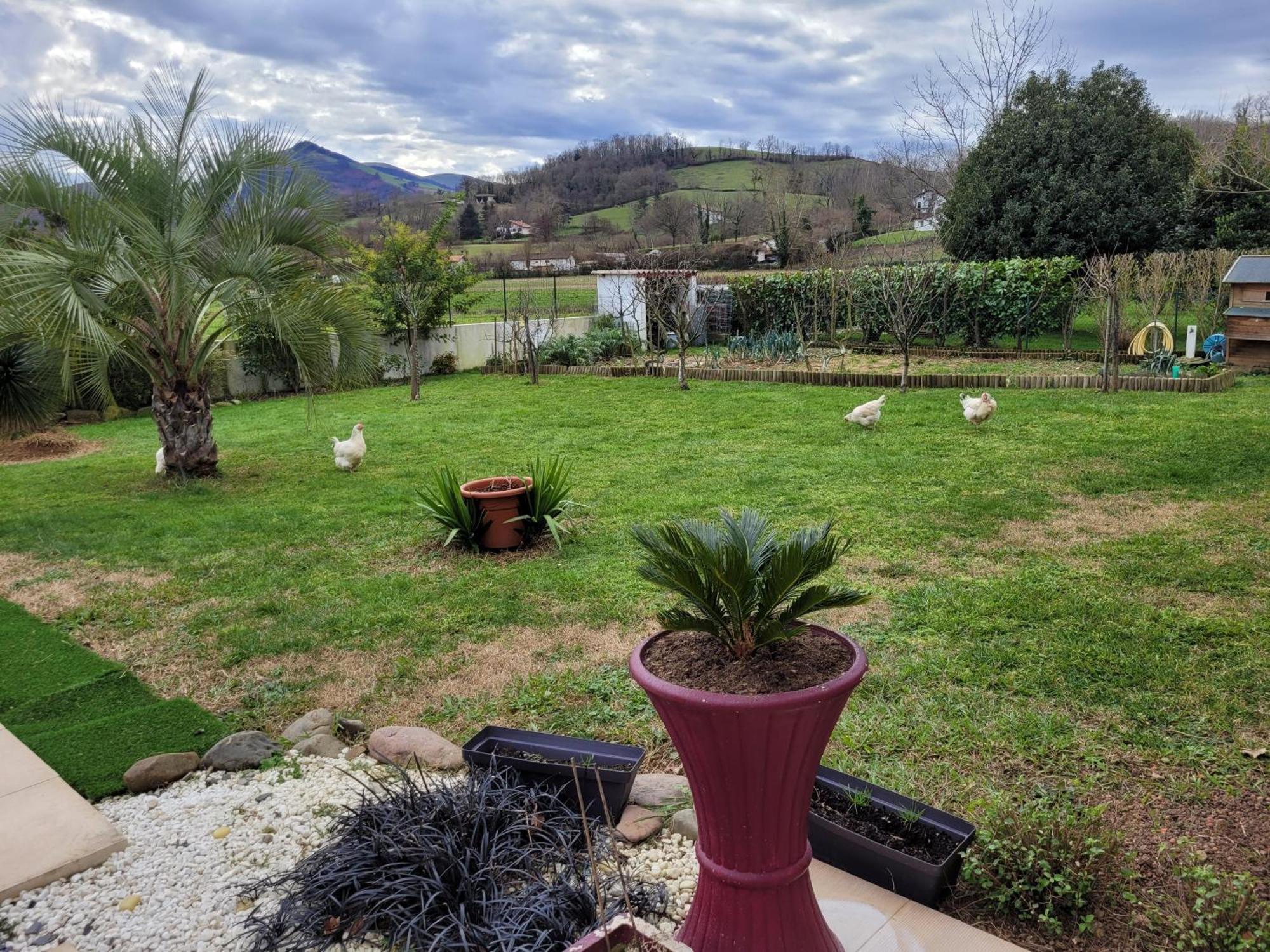 Gites Vue Montagne St Jean Pied De Port Pays Basque Saint-Jean-Pied-de-Port Esterno foto